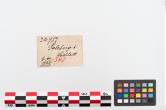 Etiketten zu Bronzekahnfibel (NHMW-PRAE-024752)